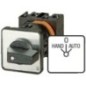 Hand/Auto switch - T0115431E