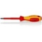 Screwdriver VDE PH2 - TA982402
