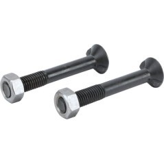 TB20291 Kramp, Plow screws 