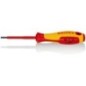 Hex socket screwdriver - TA981330