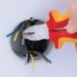 Side cutters - TA7006125 Side cutters - TA7006125