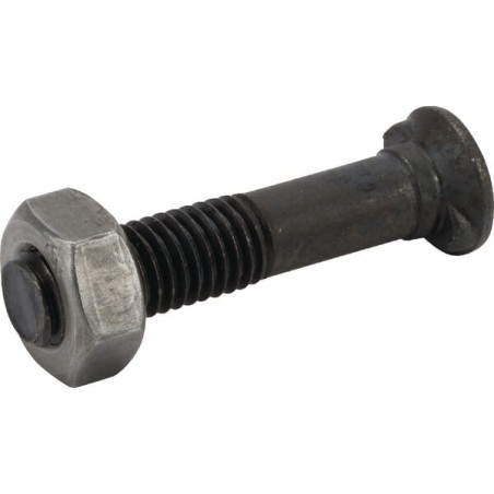 Bolt pack 1x M10x50 CONut - TB40030