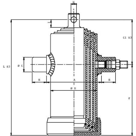 Telescopic cylinder TC 3042 eye - TC3042F