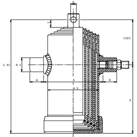 Telescopic cylinder hole in rod - TC3056F