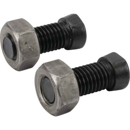 Bolts and nuts, bag - TB60010