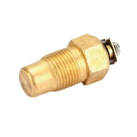 Belarus temperature sensor - TM100WN