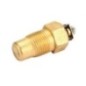 Belarus temperature sensor - TM100WN