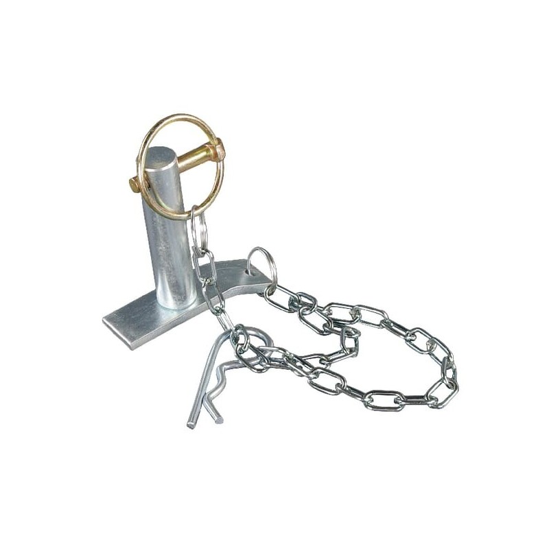 Pin 19x69mm - TL150756