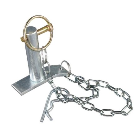 Pin 19x69mm - TL150756