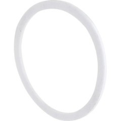 Flat seal - TW5022