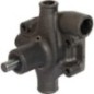 Wasserpumpe - U5MW0096OMP Wasserpumpe - U5MW0096OMP