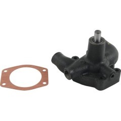 U5MW0097 Perkins, Water pumps 