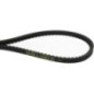 V-belt - TR131486 V-belt - TR131486