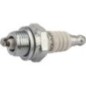 Spark Plug - TY6081 Spark Plug - TY6081