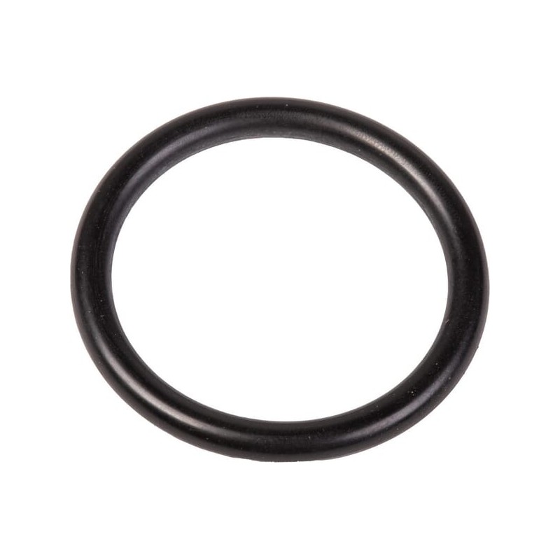 O-Ring 31,00x4,00 - UD1101L5