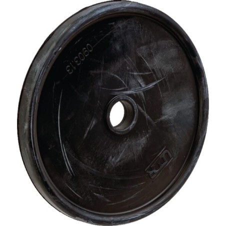 Piston diaph KAPPA/ZETA D10 - UD090313