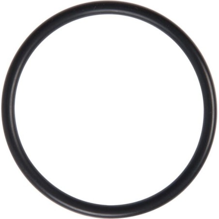 O-Ring 46 04 x 3,53 - UD1101C1
