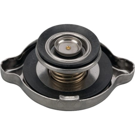 Kühlerdeckel - V31679810