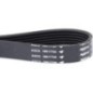 V-belt - VA030666 V-belt - VA030666