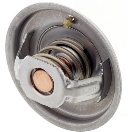 Thermostats – produkty dostępne w rolniczeczesci.pl