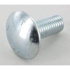 Bolt - VF01142791