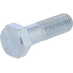 Screw - VI3306