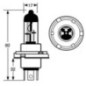 Halogenlampe - VLC0012 Halogenlampe - VLC0012