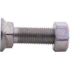 VI1009 Naud, Naud 