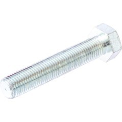 Screw M30x160 - VI4701