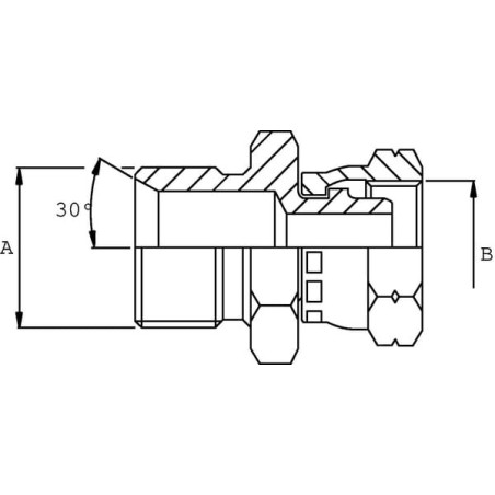 Adapter 1/4 BSP x M16 - VNBMW0416