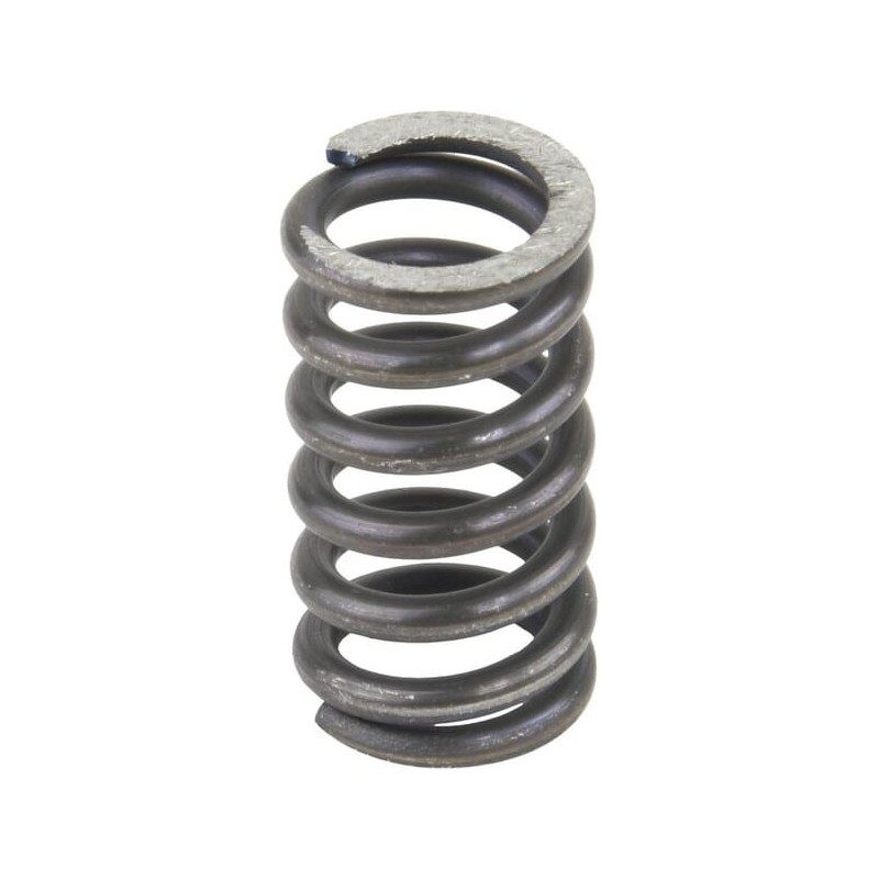 Spring - VP101266