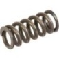 Spring - VP118225