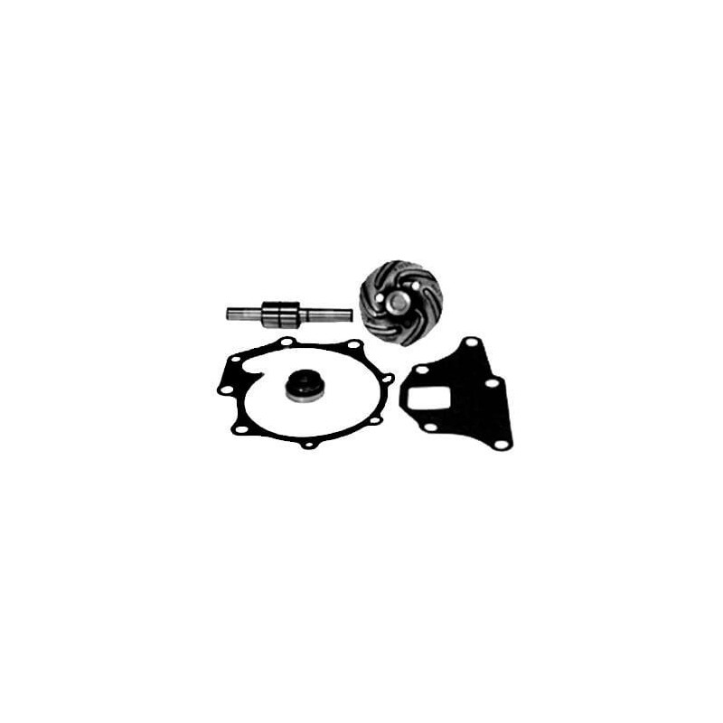 Water pump repair kit - VPE2009