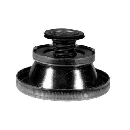 Radiator caps – produkty dostępne w rolniczeczesci.pl