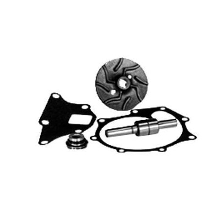 Water pumps – produkty dostępne w rolniczeczesci.pl