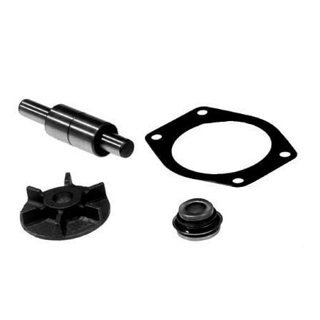 Water pumps – produkty dostępne w rolniczeczesci.pl