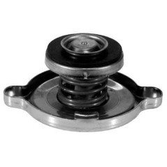 Radiator caps – produkty dostępne w rolniczeczesci.pl