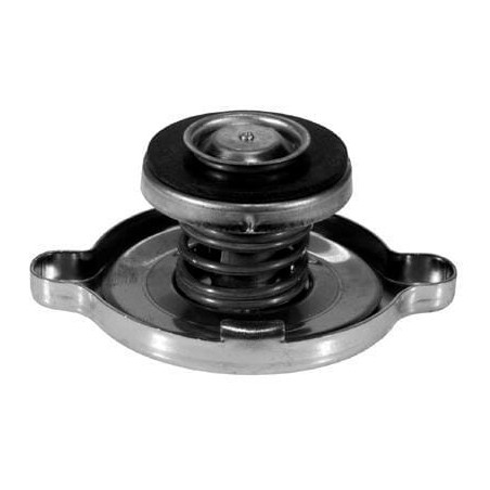 Radiator caps – produkty dostępne w rolniczeczesci.pl