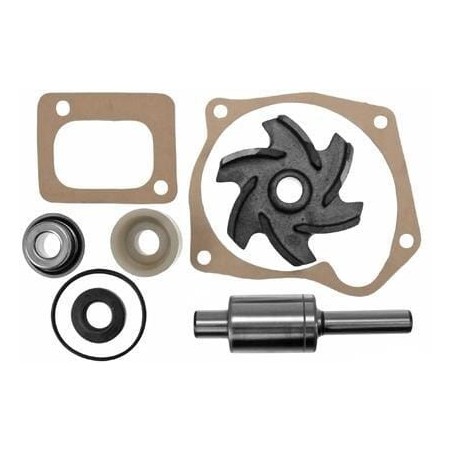 Water pumps – produkty dostępne w rolniczeczesci.pl