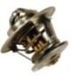 Thermostat - VPE3406 Thermostat - VPE3406