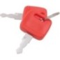 Ignition key x2 - VPF3267