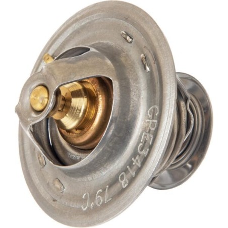 Thermostats – produkty dostępne w rolniczeczesci.pl