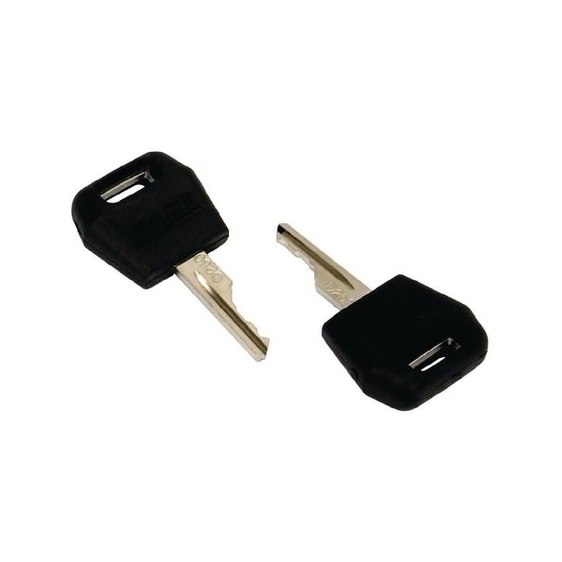 Ignition switch key x2 - VPF3258