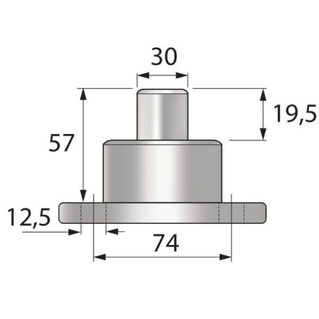 Achsschenkelbolzen - VPJ8259