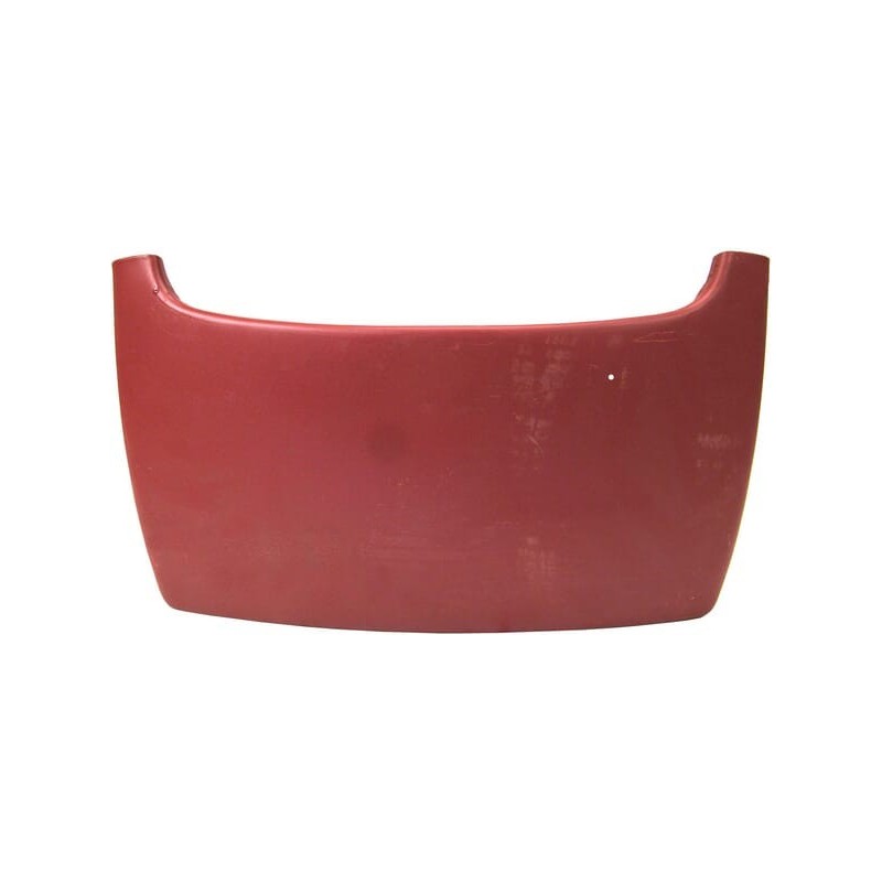Lower panel - VPM1003