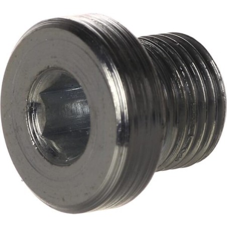 Plug 1/8 BSP - VS02AXC