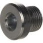 Stecker 1/8 BSP - VS02AXC