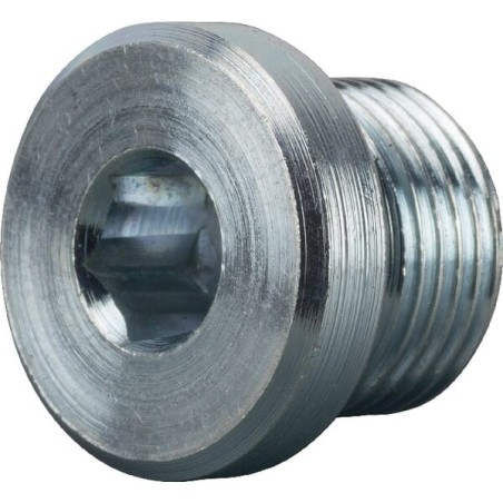 Plug 3/8 BSP - VS06AXC