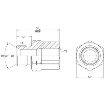 Adaptor M/F 1/2 BSP M 20 - VRBM0820