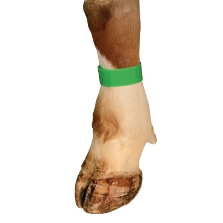 Collars and ID bands – produkty dostępne w rolniczeczesci.pl
